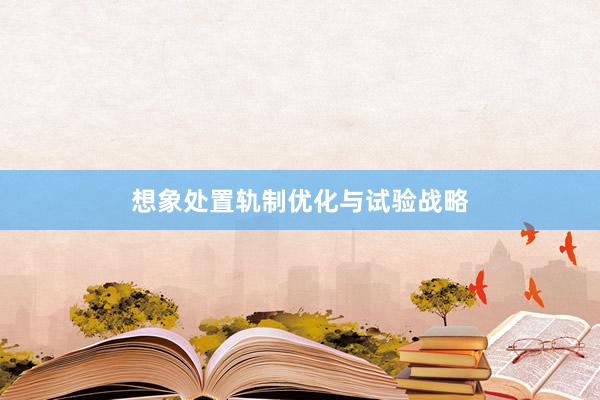 想象处置轨制优化与试验战略